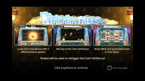 NIagara Falls Slot Features