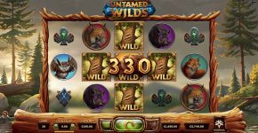 Untamed Wilds Slot Free Play Bear Wild Win
