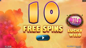 Tweethearts Slot Free Spins Bonus