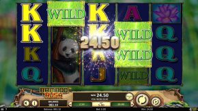 Bamboo-Rush-Wild-Win-two