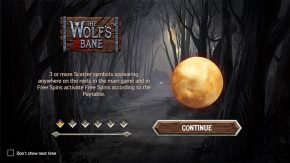 The Wolfs Night game review