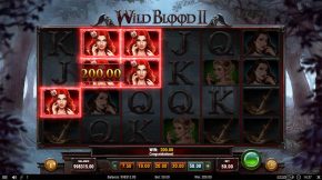 Wild Blood Big Bonus