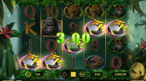 gorilla-kingdom-bird-win