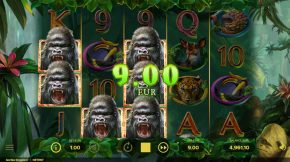 gorilla-kingdom-win2