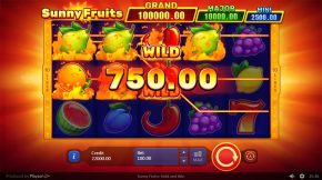 Sunny Fruits Hold and Win Gameplay
