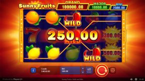 Sunny Fruits Hold and Win Gameplay Wild