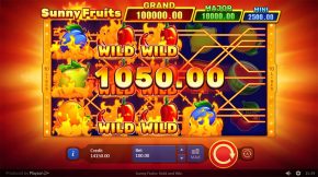 Sunny Fruits Hold and Win Gameplay Win