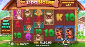 the-dog-house-ace-win