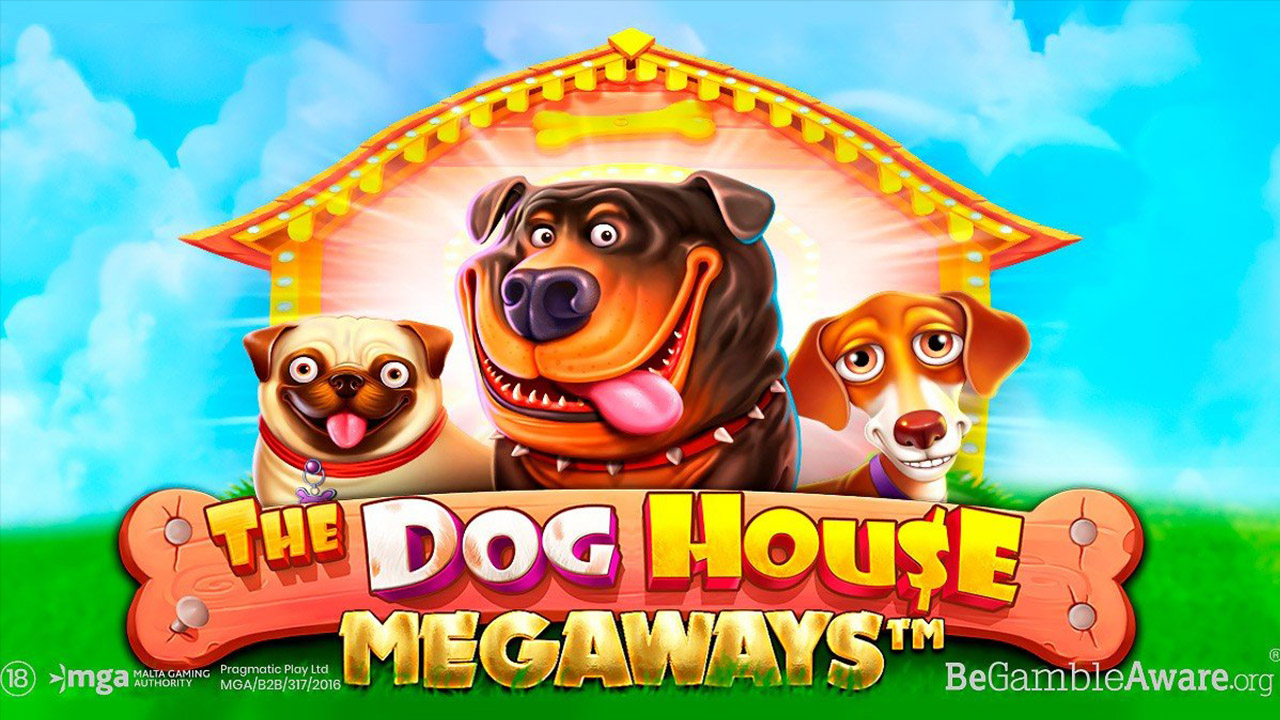 the-dog-house-game-preview