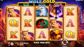 wolf-gold-gameplay