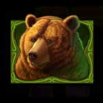 Wild Bison Bear Symbol