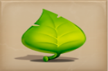 Buggin Leaf Symbol