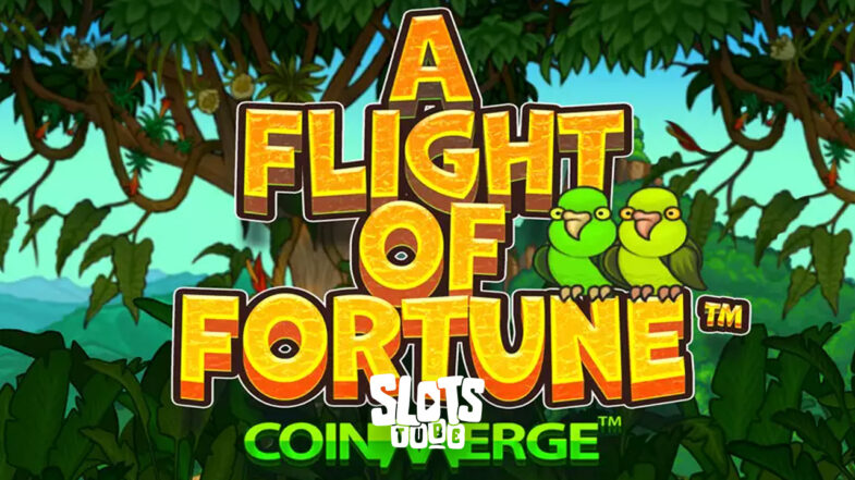 A Flight of Fortune Free Demo