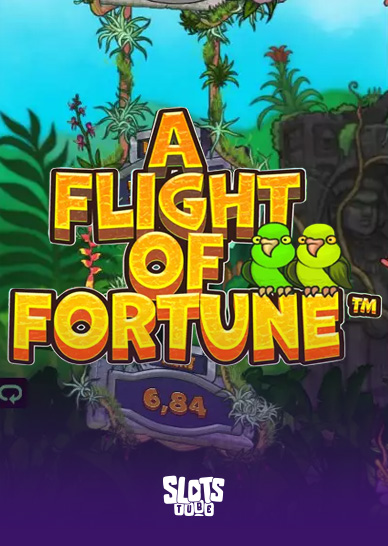 A Flight of Fortune Slot Review