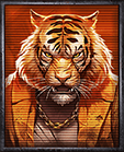 Manimals Tiger Symbol