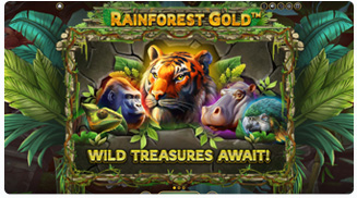Rainforest Gold Bonus