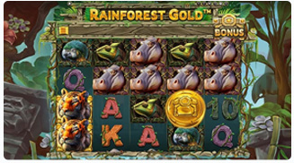 Rainforest Gold Gameplay