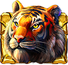 Rainforest Gold Tiger Symbol