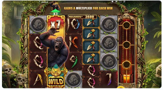 Primate King Megaways Gameplay