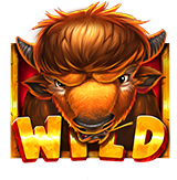 Release The Bison Wild Symbol