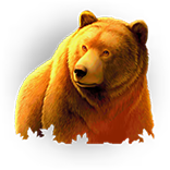 Wild Survivor Bear Symbol