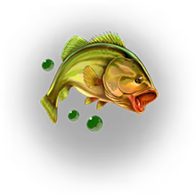 Wild Survivor Fish Symbol