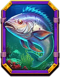 Treasure Trawler Big Fish Symbol
